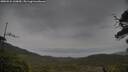 ./images/calvert/fitz-hugh-hecate/20250524/fitz-hugh-hecate20250524_160010M.jpg