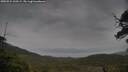 ./images/calvert/fitz-hugh-hecate/20250524/fitz-hugh-hecate20250524_160509M.jpg