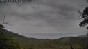 ./images/calvert/fitz-hugh-hecate/20250524/fitz-hugh-hecate20250524_161009M.jpg