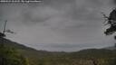 ./images/calvert/fitz-hugh-hecate/20250524/fitz-hugh-hecate20250524_161510M.jpg
