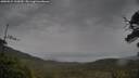 ./images/calvert/fitz-hugh-hecate/20250524/fitz-hugh-hecate20250524_162010M.jpg