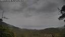 ./images/calvert/fitz-hugh-hecate/20250524/fitz-hugh-hecate20250524_162510M.jpg