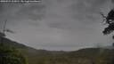 ./images/calvert/fitz-hugh-hecate/20250524/fitz-hugh-hecate20250524_163011M.jpg