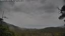 ./images/calvert/fitz-hugh-hecate/20250524/fitz-hugh-hecate20250524_163508M.jpg