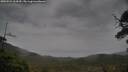 ./images/calvert/fitz-hugh-hecate/20250524/fitz-hugh-hecate20250524_164510M.jpg