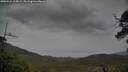 ./images/calvert/fitz-hugh-hecate/20250524/fitz-hugh-hecate20250524_165009M.jpg