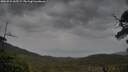 ./images/calvert/fitz-hugh-hecate/20250524/fitz-hugh-hecate20250524_165509M.jpg