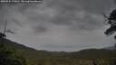 ./images/calvert/fitz-hugh-hecate/20250524/fitz-hugh-hecate20250524_170010M.jpg