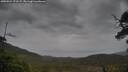 ./images/calvert/fitz-hugh-hecate/20250524/fitz-hugh-hecate20250524_171508M.jpg