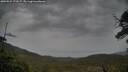./images/calvert/fitz-hugh-hecate/20250524/fitz-hugh-hecate20250524_173507M.jpg
