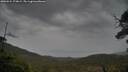 ./images/calvert/fitz-hugh-hecate/20250524/fitz-hugh-hecate20250524_174009M.jpg
