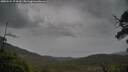 ./images/calvert/fitz-hugh-hecate/20250524/fitz-hugh-hecate20250524_174509M.jpg