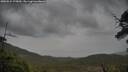 ./images/calvert/fitz-hugh-hecate/20250524/fitz-hugh-hecate20250524_175009M.jpg