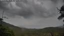./images/calvert/fitz-hugh-hecate/20250524/fitz-hugh-hecate20250524_175508M.jpg