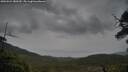 ./images/calvert/fitz-hugh-hecate/20250524/fitz-hugh-hecate20250524_180509M.jpg