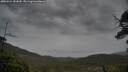 ./images/calvert/fitz-hugh-hecate/20250524/fitz-hugh-hecate20250524_181010M.jpg
