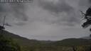 ./images/calvert/fitz-hugh-hecate/20250524/fitz-hugh-hecate20250524_182008M.jpg