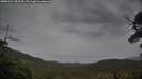 ./images/calvert/fitz-hugh-hecate/20250524/fitz-hugh-hecate20250524_183510M.jpg
