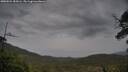 ./images/calvert/fitz-hugh-hecate/20250524/fitz-hugh-hecate20250524_184506M.jpg