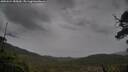 ./images/calvert/fitz-hugh-hecate/20250524/fitz-hugh-hecate20250524_185010M.jpg