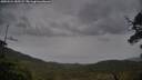 ./images/calvert/fitz-hugh-hecate/20250524/fitz-hugh-hecate20250524_185509M.jpg