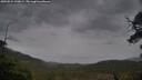 ./images/calvert/fitz-hugh-hecate/20250524/fitz-hugh-hecate20250524_190008M.jpg