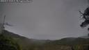 ./images/calvert/fitz-hugh-hecate/20250524/fitz-hugh-hecate20250524_191009M.jpg