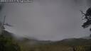 ./images/calvert/fitz-hugh-hecate/20250524/fitz-hugh-hecate20250524_191507M.jpg