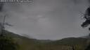 ./images/calvert/fitz-hugh-hecate/20250524/fitz-hugh-hecate20250524_192009M.jpg