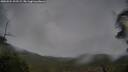 ./images/calvert/fitz-hugh-hecate/20250524/fitz-hugh-hecate20250524_192508M.jpg