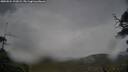 ./images/calvert/fitz-hugh-hecate/20250524/fitz-hugh-hecate20250524_193009M.jpg
