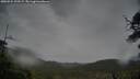 ./images/calvert/fitz-hugh-hecate/20250524/fitz-hugh-hecate20250524_193508M.jpg