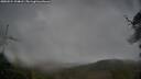 ./images/calvert/fitz-hugh-hecate/20250524/fitz-hugh-hecate20250524_194008M.jpg
