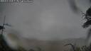 ./images/calvert/fitz-hugh-hecate/20250524/fitz-hugh-hecate20250524_194506M.jpg