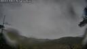 ./images/calvert/fitz-hugh-hecate/20250524/fitz-hugh-hecate20250524_195009M.jpg