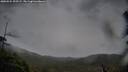 ./images/calvert/fitz-hugh-hecate/20250524/fitz-hugh-hecate20250524_195508M.jpg
