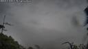 ./images/calvert/fitz-hugh-hecate/20250524/fitz-hugh-hecate20250524_200508M.jpg