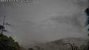 ./images/calvert/fitz-hugh-hecate/20250524/fitz-hugh-hecate20250524_201508M.jpg