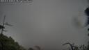 ./images/calvert/fitz-hugh-hecate/20250524/fitz-hugh-hecate20250524_202007M.jpg