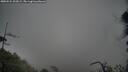 ./images/calvert/fitz-hugh-hecate/20250524/fitz-hugh-hecate20250524_203009M.jpg