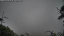 ./images/calvert/fitz-hugh-hecate/20250524/fitz-hugh-hecate20250524_203508M.jpg