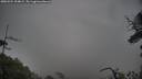 ./images/calvert/fitz-hugh-hecate/20250524/fitz-hugh-hecate20250524_204009M.jpg