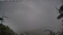 ./images/calvert/fitz-hugh-hecate/20250524/fitz-hugh-hecate20250524_204508M.jpg