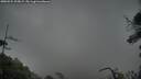 ./images/calvert/fitz-hugh-hecate/20250524/fitz-hugh-hecate20250524_205008M.jpg