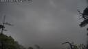 ./images/calvert/fitz-hugh-hecate/20250524/fitz-hugh-hecate20250524_210008M.jpg
