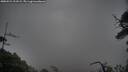 ./images/calvert/fitz-hugh-hecate/20250524/fitz-hugh-hecate20250524_211009M.jpg