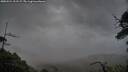 ./images/calvert/fitz-hugh-hecate/20250524/fitz-hugh-hecate20250524_211507M.jpg