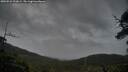 ./images/calvert/fitz-hugh-hecate/20250524/fitz-hugh-hecate20250524_212009M.jpg