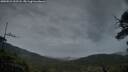 ./images/calvert/fitz-hugh-hecate/20250524/fitz-hugh-hecate20250524_212508M.jpg