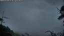 ./images/calvert/fitz-hugh-hecate/20250524/fitz-hugh-hecate20250524_213508M.jpg